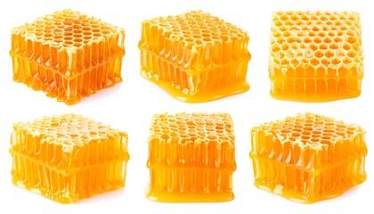 Honeycomb segments isolated on white