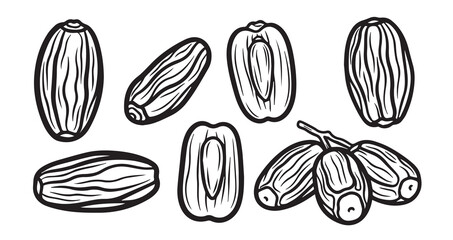 Date Fruits Line Art Healthy Fresh Food Sketch