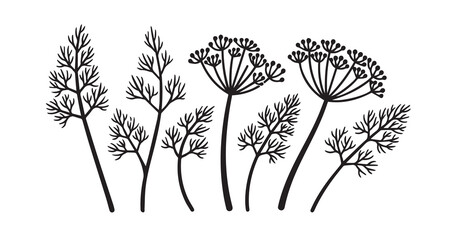 Dill Vegetable Line Art Fresh Healthy Leaf Outline
