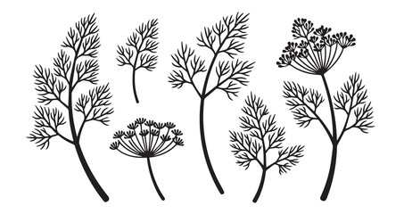 Dill Vegetable Line Art Fresh Healthy Leaf Outline