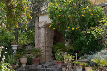 Old archway with vibrant flowers and Mediterranean vegetation, perfect for illustrating cultural heritage, travel destinations, or rustic outdoor design.