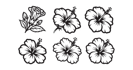 Obraz premium Hibiscus Line Art Aesthetic Flower Vector