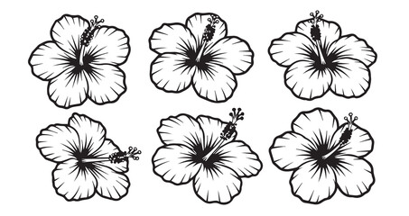 Fototapeta premium Hibiscus Line Art Aesthetic Flower Vector