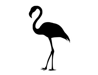 Fototapeta premium a silhouette of a flamingo standing on one legbeak, bird, black, flamingo, pink, profile, stand 