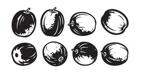 Jujube Fruits Line Art Natural Organic Outline Design