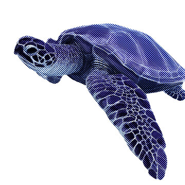 Digital turtle with purple hue and geometric texture.