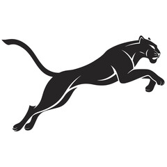 leopard on a white background