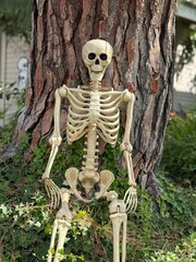 Skeleton sitting next to a large tree
