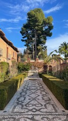 Obraz premium palm trees in a Spanish villa