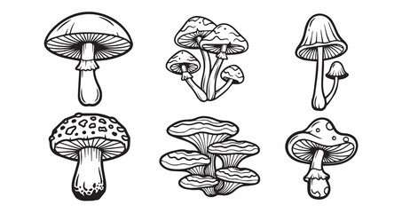 Mushroom Line Art Hand Drawn Leaf Vector © Smithstar