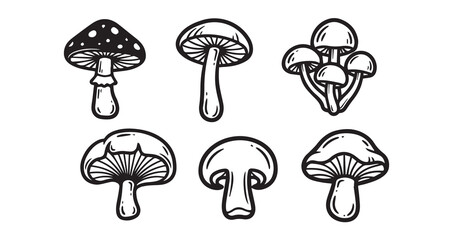 Mushroom Line Art Hand Drawn Leaf Vector