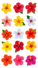 Colorful Hibiscus Flower Stickers.