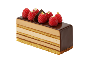 Delicious layered chocolate cake with raspberries isolated on white, gourmet dessert for patisserie and confectionery concepts