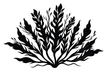 Black silhouette of seaweed, leafy aquatic plant with long leaves, simple vector graphic