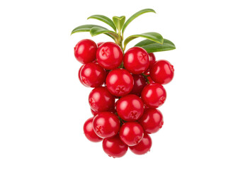 Lingonberries isolated on transparent background, fresh red berries with green leaves, healthy forest fruit for food and drink