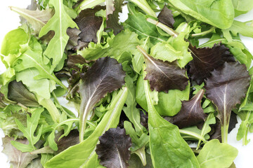 Fresh Italian mixed salad with lettuce, red lettuce, romaine, arugula, and baby spinach. Healthy, colorful greens perfect for Mediterranean dishes.