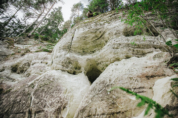 Low-angle view of a vibrant green fern sprouting from a moss-covered rock cliff, surrounded by trees and open sky above.