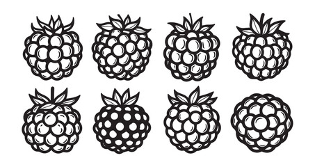 Salmonberry Fruits Line Art Minimal Outline Drawing