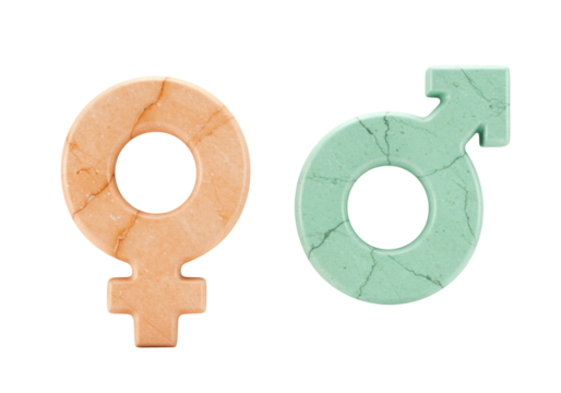 Gender symbols made of marble isolated on white, male and female signs for gender equality and diversity concepts - Powered by Adobe