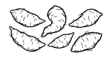 Yam Vegetable Line Art Hand Drawn Leaf Vector