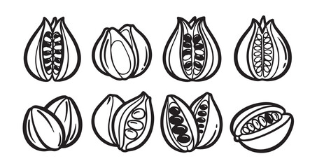 Ackee Fruits Line Art Minimal Outline Drawing