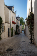 A street view in the city of Orl&eacute;ons in France.