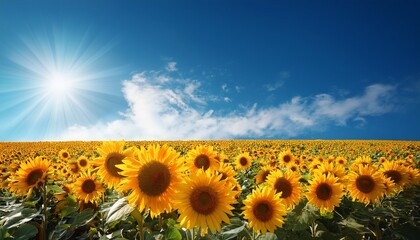 Obraz premium Sunflower Against Blue Sky