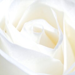 Soft White Fabric Texture Closeup.