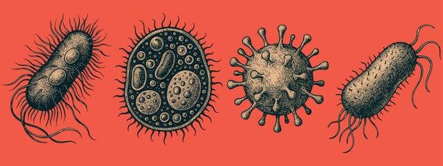Set of Pathogenic Bacteria – Engraved Microbes on Red Background