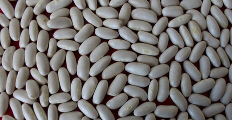 Background of evenly scattered white beans