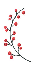 Rowan berries Christmas festive composition