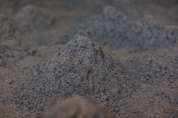 Fine brown soil mounds with granular texture arranged in a natural pattern, highlighted by earthy tones and uniform composition in an outdoor setting.