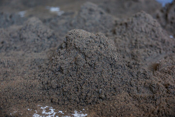 A detailed view of dark, fine grained soil with uneven textures, small clumps, and lighter patches scattered across the slightly damp surface.