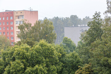 Two multi story residential buildings, one red and one gray, partially obscured by tall trees in a misty setting with a forested area nearby.
