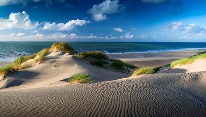 Dune Landscape At The North Sea