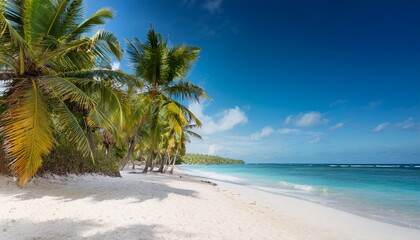 Beach With Palm Trees And White Sand