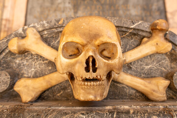 20 settembre 2025_ Trast _45.DNG