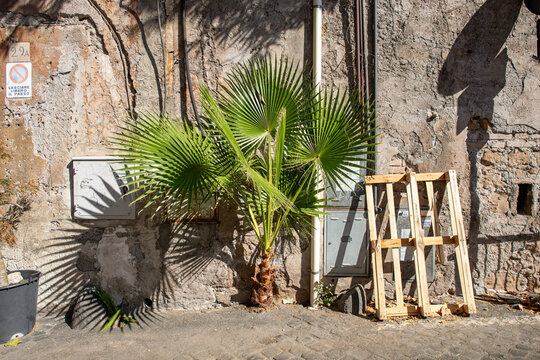 20 settembre 2025_ Trast _73.DNG