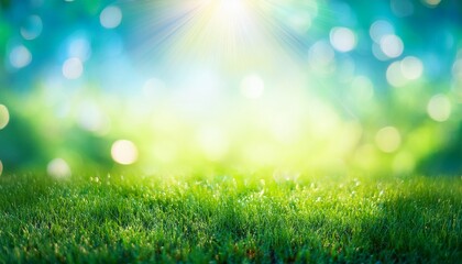 Fototapeta premium Bokeh Background With Light Green Blue Spring Background With Sun Shine