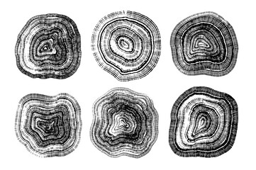 Set of linear tree stump prints isolated on white. Wooden silhouette. Wood texture with concentric rings. Black and white wooden annual rings textures. Wood in cross section. Tree ring pattern