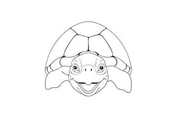 Line drawing a smiling turtle peeking forward animal reptile