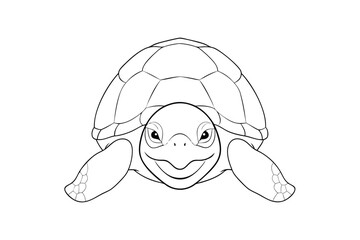 Simple line drawing a smiling turtle with a patterned shell animal reptile