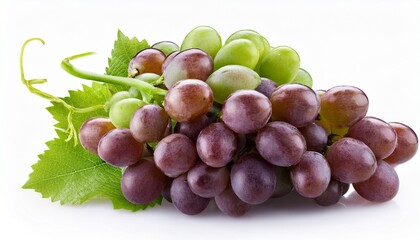Obraz premium Grapes Bunch Isolated On A White Background