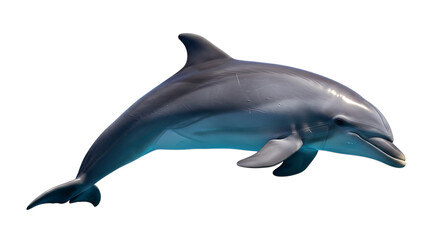 Dolphin Swimming with Blue Light Illumination marine animal sea creature Cutout PNG isolated on a transparent background