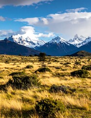 Fototapeta premium Mountain meadow panorama