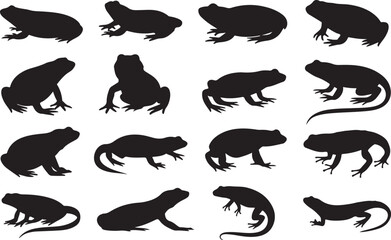  Frog, Toad, Salamander, Newt silhouette vector