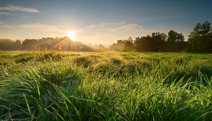 Lush Green Grass Sways Gently In A Serene Meadow At Dawn