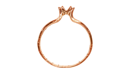 Copper pomegranate outline isolated on transparent background, a minimalist design