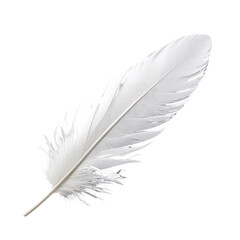 Isolated white feather, diagonal, soft texture, dark background