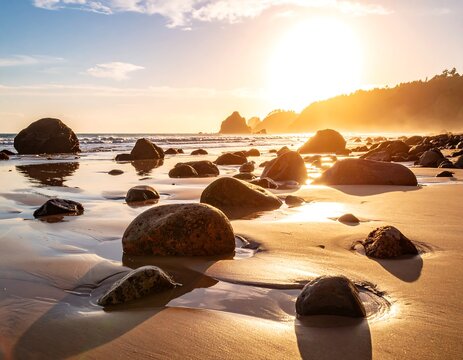 Golden sunset over a rocky beach